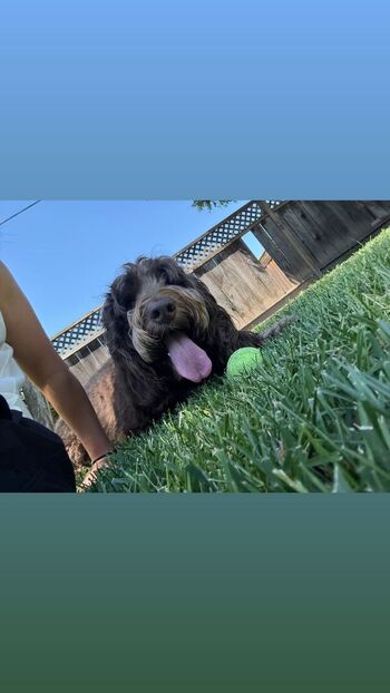 🔥 Bayley page leaked private photo uncensored full